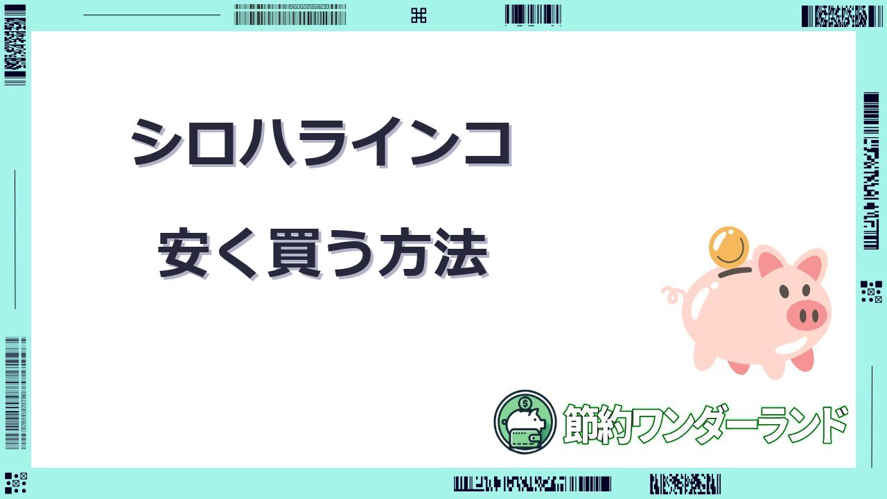 シロハラインコ 安く 買う