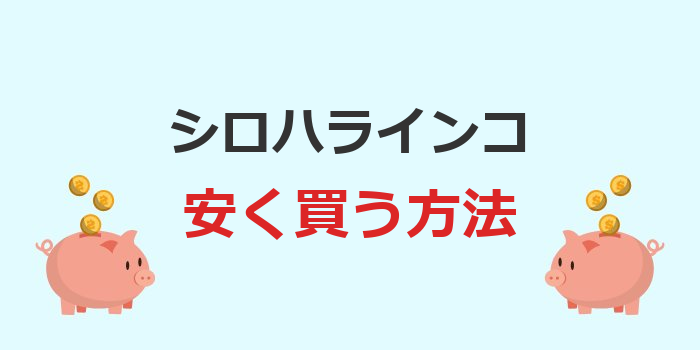 シロハラインコ 安く 買う