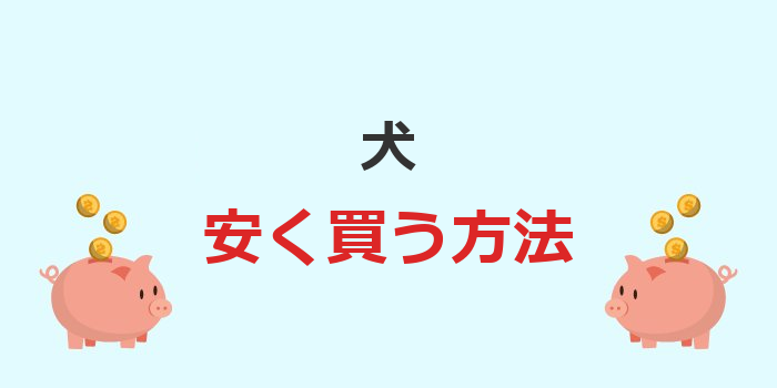 犬安く買う